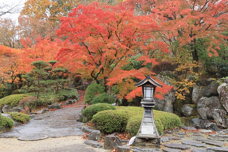 【画題】紅葉の庭園　【撮影地】群馬県藤岡市鬼石　桜山公園