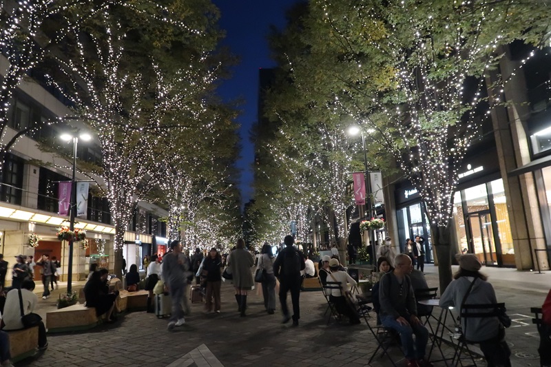 【画題】イルミネーションに集う　【撮影地】東京都千代田区　東京駅前丸の内街