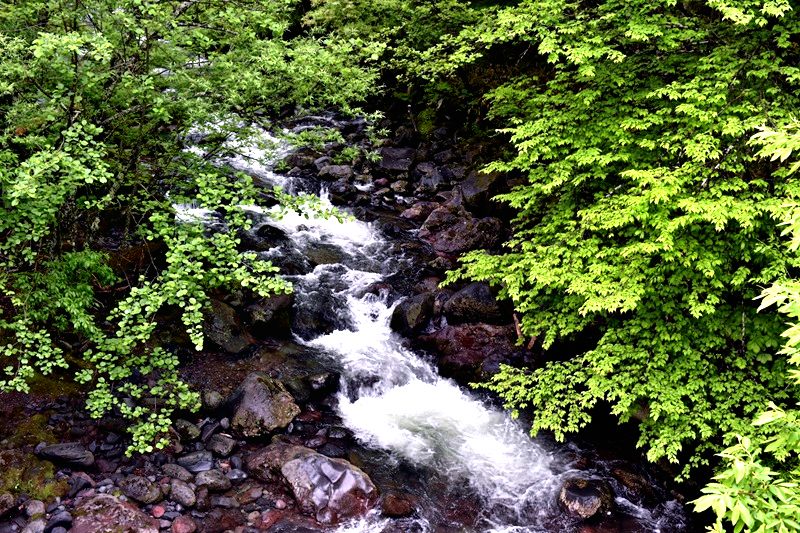 【画題】新緑の渓流　【撮影地】長野県松本市　乗鞍高原