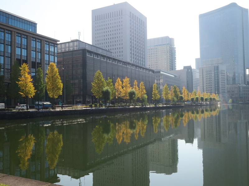 【画題】お堀に映える銀杏並木　【撮影地】東京都千代田区　皇居前　日比谷通り