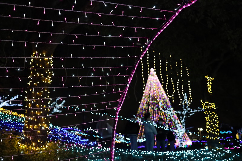 【画題】Xmasシーズン　【撮影地】愛知県知立市　新地公園