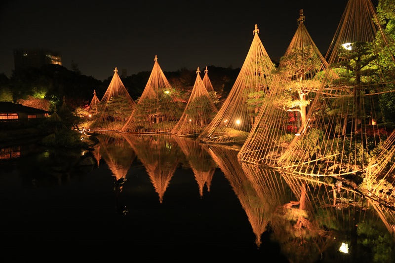 【画題】雪吊り　【撮影地】愛知県名古屋市
