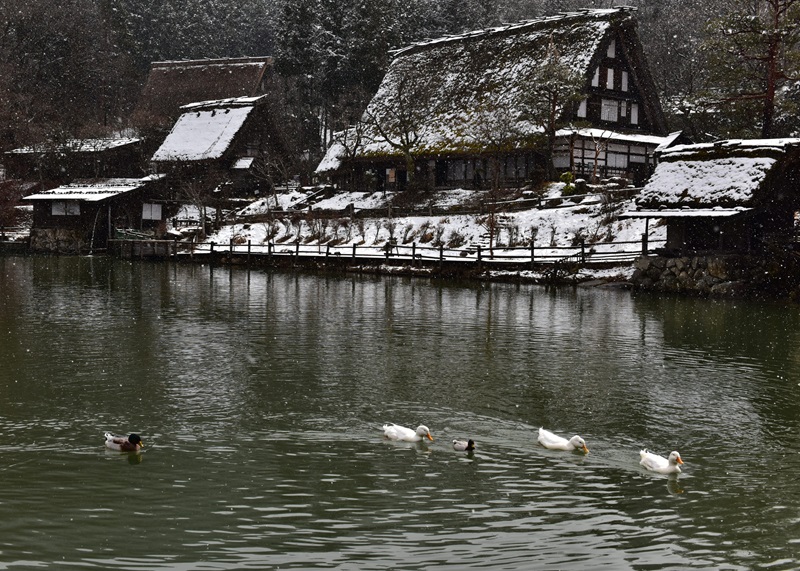 【画題】雪降る飛騨の里　【撮影地】岐阜県高山市